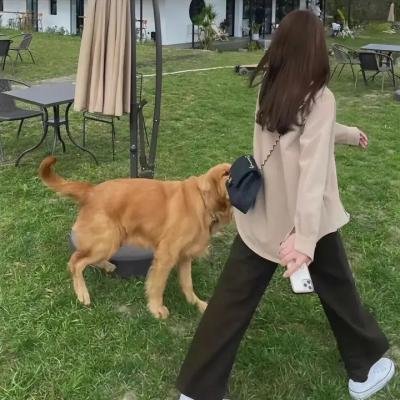 晚安伦敦