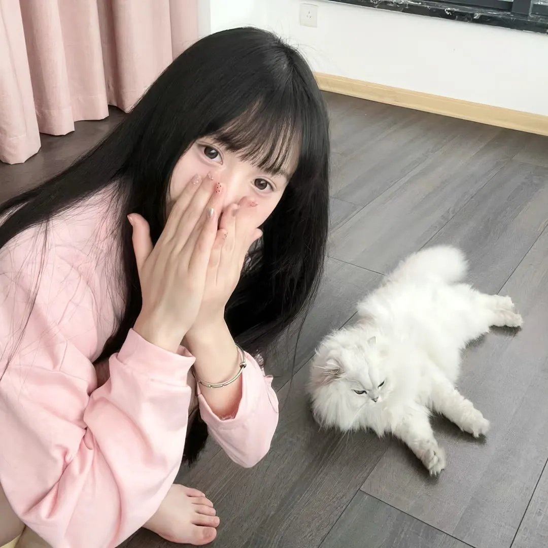 猪猪侠