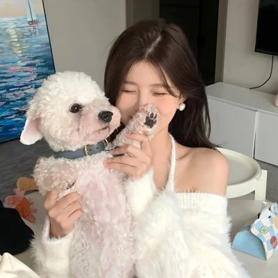 寻秦记粤语