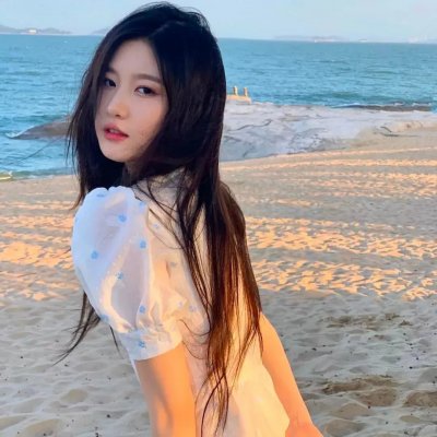 蜘蛛网